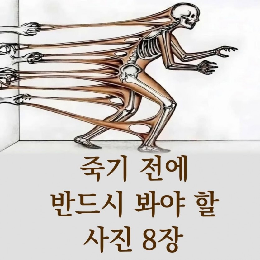 f4b978274795bfc3880d32bbe5d313cc_1739667743_1102.jpg