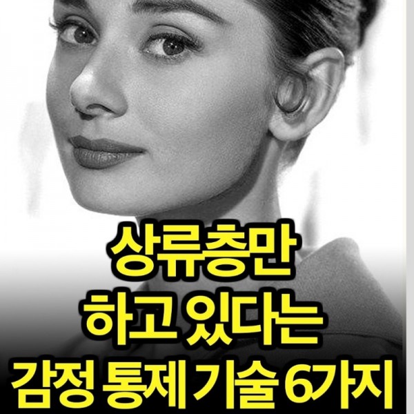 KakaoTalk_20250513_105039740.jpg