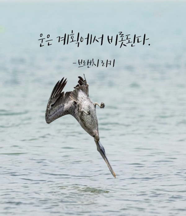 a4a68002388d0d56a3515b4d7c3f5133_1751407588_8033.jpg
