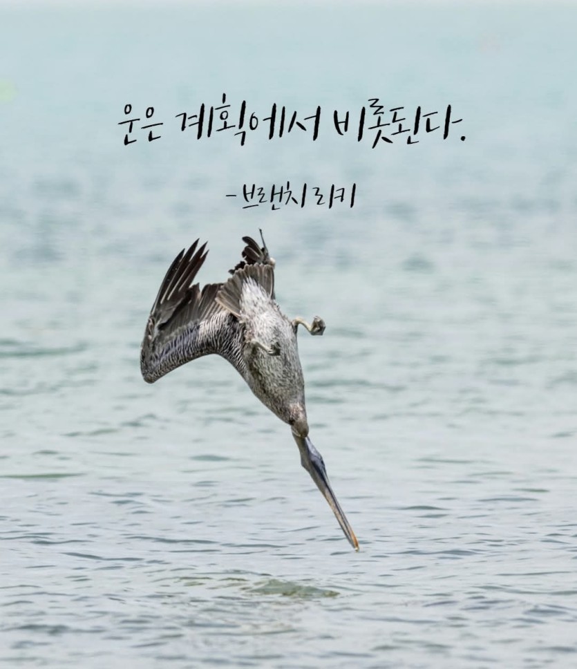 a4a68002388d0d56a3515b4d7c3f5133_1751407588_8033.jpg